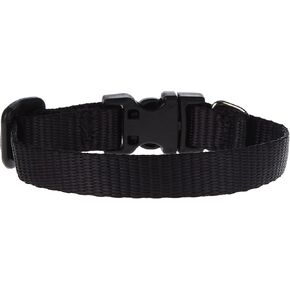 LupinePet Basics 1/2" Green 6-9" Adjustable Collar for Extra Small Dogs in Kuwait