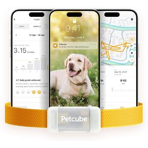 Petcube جهاز تعقب GPS للكلاب | جهاز تتبع موقع الحيوانات الأليفة بنظام تحديد المواقع العالمي (GPS) مع تنبيهات الهروب والأسوار الافتراضية، ومراقبة النشاط والصحة، يتوهج في الظلام، ومقاوم للماء والغبار in Kuwait