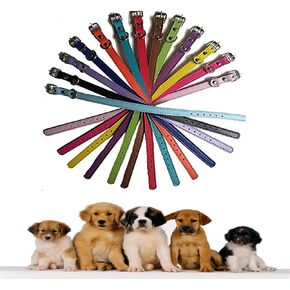 Puppy ID Collars, Soft Leather Dog Collar,14 Colors PU Leather Adjustable Dog Cat Collars for Dog Small Large Cat Collars Newborn Puppies Kitten (XS(0.47"*12.9"), Bone - 14 Colors) in Kuwait