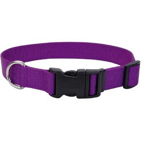 Coastal Pet - Adjustable Dog Collar with Plastic Buckle, Black, 1" x 18" - 26" in Kuwait