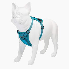أفضل مستلزمات الحيوانات الأليفة، Inc. Voyager Freestyle 4 في 1 Dog Harness - في انتظار الحصول على براءة اختراع حزام حزام قابل للتعديل مع حشوة قابلة للإزالة للكلاب الصغيرة إلى الكبيرة (أزرق ملكي، X-Small) (216-RB-XS) in Kuwait