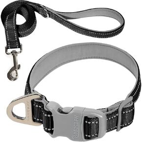 Dog Collar for Medium Small Large Dogs Reflective with Leash,Collar and Leash for Dogs,Soft Neoprene Padded 2 Pack(Blue,XS) in Kuwait