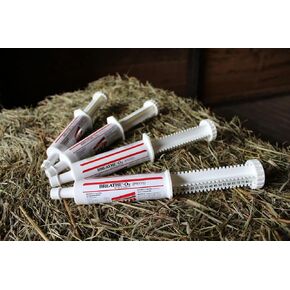 Breathe O'2 4 -Pack (8 doses) Pre-Race Paste to Support Lung/Airway Function in Horses in Kuwait