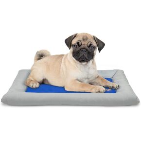 Arf Pets Dog Self Cooling Bed Pet Bed – Solid Gel Based Self Cooling Mat for Pets, Includes a Foam Based Bolster Bed for Extra Comfort in Kuwait