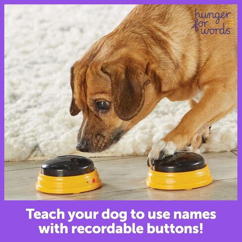 Hunger For Words Talking Pet Next Words Names - 3 Piece Set of Recordable Speech Buttons for Dog Training, Dog Buttons for Communication | Games & Stuff for Dogs in Kuwait