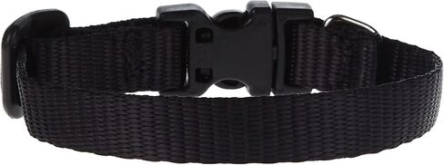 LupinePet Basics 1/2" Green 6-9" Adjustable Collar for Extra Small Dogs in Kuwait