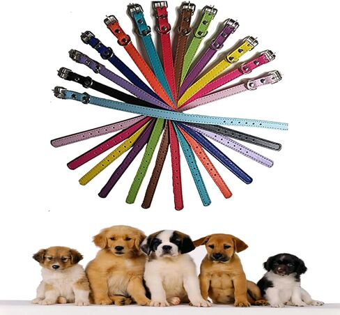 Puppy ID Collars, Soft Leather Dog Collar,14 Colors PU Leather Adjustable Dog Cat Collars for Dog Small Large Cat Collars Newborn Puppies Kitten (XS(0.47"*12.9"), Bone - 14 Colors) in Kuwait