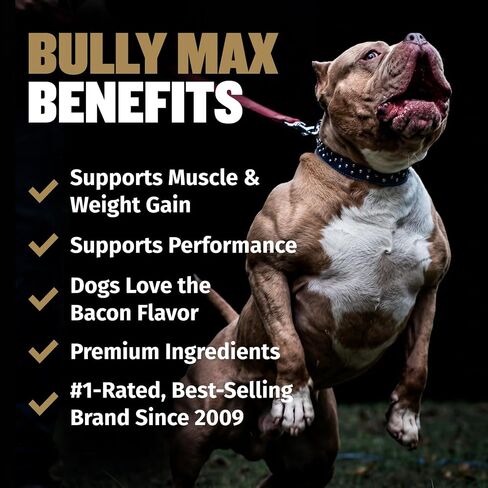 Bully Max 11-in-1 Muscle Gain Power Chews - High Protein Dog Supplement with Amino Acids - Healthy Treats for Puppy & Adult Dogs - Premium Muscle Builder for All Breeds - 75 Tasty Soft Dog Chews in Kuwait