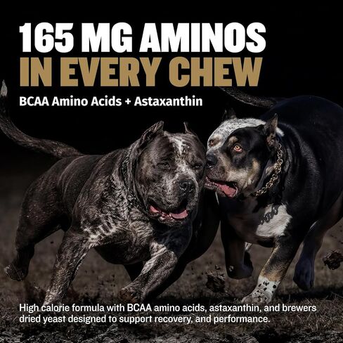 Bully Max 11-in-1 Muscle Gain Power Chews - High Protein Dog Supplement with Amino Acids - Healthy Treats for Puppy & Adult Dogs - Premium Muscle Builder for All Breeds - 75 Tasty Soft Dog Chews in Kuwait