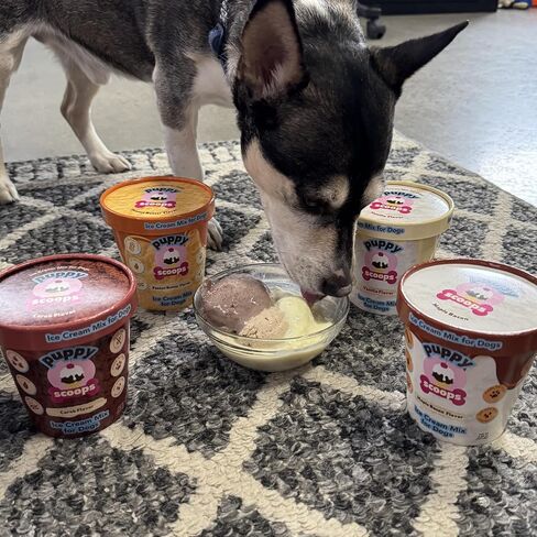 Puppy Scoops Dog Ice Cream Mix - Just Add Water and Freeze at Home, Powder Mix with Ice Cream Cup and Reusable Lid, Variety Pack of 4 Pints of Ice Cream Mix for Dogs, 4 Count 4.65 oz Made in USA in Kuwait