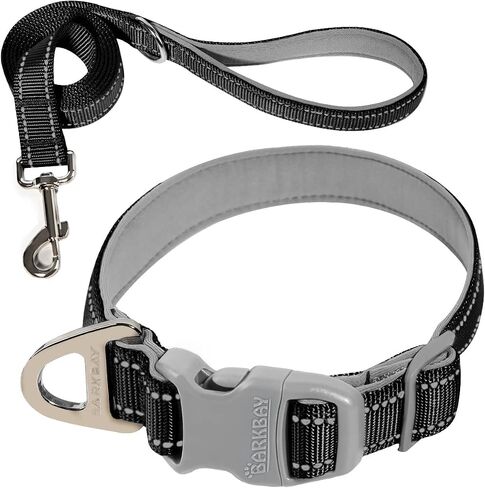 Dog Collar for Medium Small Large Dogs Reflective with Leash,Collar and Leash for Dogs,Soft Neoprene Padded 2 Pack(Blue,XS) in Kuwait