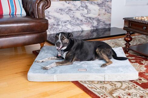 Armarkat Memory Foam Orthopedic Pet Bed with Waterproof Lining two Color available in Kuwait