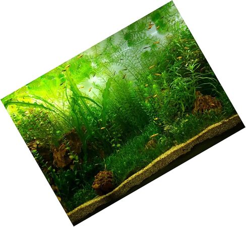 FILFEEL حوض السمك خلفية ديكورات خزان الأسماك صور PVC لاصق ملصق نمط العشب المائي خلفية الديكور ورقة تتشبث الشارات ملصق (91 * 50 سم) in Kuwait