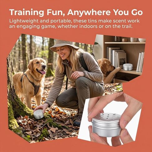 FRCOLOR 50 Pcs Nose Training Tool for Dog Jim Hodges Dog Training Dog Training Platform Dog Treadmills Dog Training Container Dog Scent Training Case Nose Work tin Work Dog Aluminum Thread in Kuwait