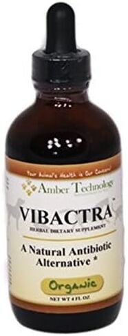 Amber NaturalZ Vibactra Plus Herbal Supplement for Dogs, Cats, Birds, Guinea Pigs, and Rabbits | Herbs for Immune Health and Yeast Balance | 4 Fluid Ounce Glass Bottle | Manufactured in The USA in Kuwait