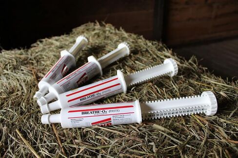 Breathe O'2 4 -Pack (8 doses) Pre-Race Paste to Support Lung/Airway Function in Horses in Kuwait