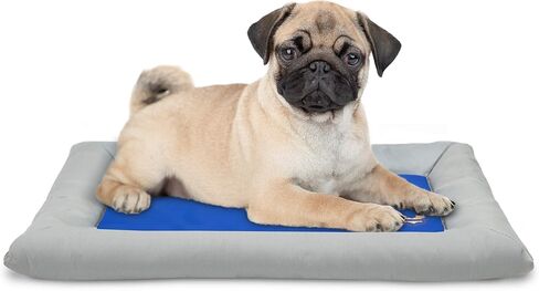 سرير الحيوانات الأليفة ذو التبريد الذاتي للكلاب من Arf Pets - بساط تبريد ذاتي قائم على الجل الصلب للحيوانات الأليفة، يتضمن سريرًا مسندًا قائمًا على الرغوة لمزيد من الراحة in Kuwait