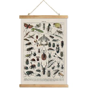 XIAOAIKA Vintage Botanical Herbs Illustration Poster - Retro Medicinal Plant Chart with Wooden Frame - Educational Herbal Reference for Home, Kitchen, or Classroom Decor 16 x 23 Inches in Kuwait