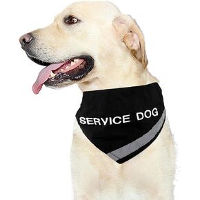 Doggie Stylz Service Dog Bandana with Reflective Strip for pet Safety at Night. Has Built in Matching Collar to Keep Bandana Secure | Metal Ring to Attach Leash | Red Large (Neck 16-24") in Kuwait