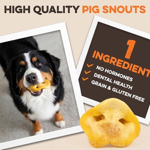 BRUTUS & BARNABY Pig Snout Dog Treat - 100% Natural - Our Healthy Pig Snouts for Dogs are Easy to Digest, Chemical & Hormone Free, Thick & Hearty Chew, Great for Small Or Large Dogs in Kuwait