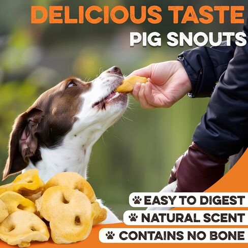 BRUTUS & BARNABY Pig Snout Dog Treat - 100% Natural - Our Healthy Pig Snouts for Dogs are Easy to Digest, Chemical & Hormone Free, Thick & Hearty Chew, Great for Small Or Large Dogs in Kuwait