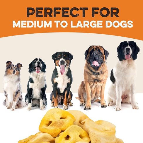 BRUTUS & BARNABY Pig Snout Dog Treat - 100% Natural - Our Healthy Pig Snouts for Dogs are Easy to Digest, Chemical & Hormone Free, Thick & Hearty Chew, Great for Small Or Large Dogs in Kuwait