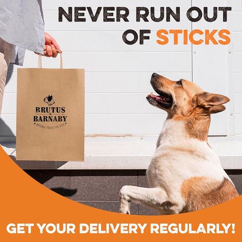 BRUTUS & BARNABY Pig Snout Dog Treat - 100% Natural - Our Healthy Pig Snouts for Dogs are Easy to Digest, Chemical & Hormone Free, Thick & Hearty Chew, Great for Small Or Large Dogs in Kuwait