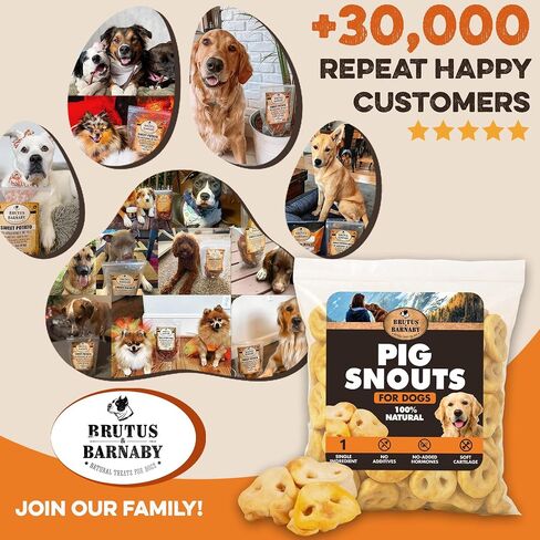 BRUTUS & BARNABY Pig Snout Dog Treat - 100% Natural - Our Healthy Pig Snouts for Dogs are Easy to Digest, Chemical & Hormone Free, Thick & Hearty Chew, Great for Small Or Large Dogs in Kuwait