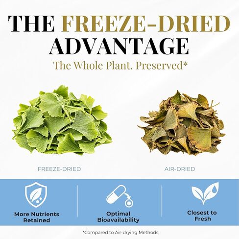 Eclectic Institute Raw Freeze-Dried Ginkgo | Circulatory Support, Supports Brain Function, Concentration & Memory | 120 CT in Kuwait