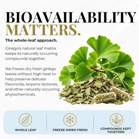 Eclectic Institute Raw Freeze-Dried Ginkgo | Circulatory Support, Supports Brain Function, Concentration & Memory | 120 CT in Kuwait