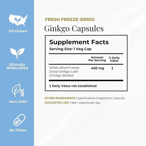 Eclectic Institute Raw Freeze-Dried Ginkgo | Circulatory Support, Supports Brain Function, Concentration & Memory | 120 CT in Kuwait