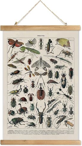 XIAOAIKA Vintage Botanical Herbs Illustration Poster - Retro Medicinal Plant Chart with Wooden Frame - Educational Herbal Reference for Home, Kitchen, or Classroom Decor 16 x 23 Inches in Kuwait