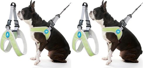 Gooby Simple Step in III Harness - Pink, Small - Small Dog Harness with Scratch Resistant Outer Vest - Soft Inner Mesh Harness for Small, Medium Dogs in Kuwait