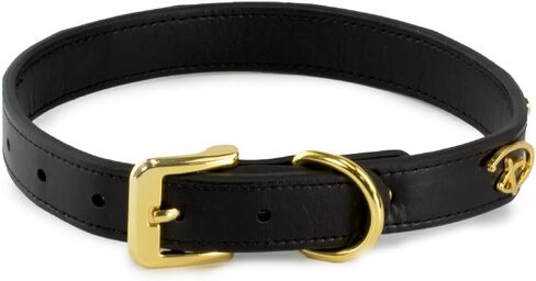 Buckle-Down Dog Collar, Friends, Monicas Peephole Frame Cast Buckle with Turkey and Friends Charms, Extra Large 18 to 24 Inch Length 1.15 Inches Wide in Kuwait