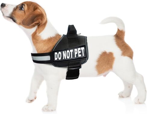 Doggie Stylz Dog Harness with DO NOT PET Patches – No Pull Service Dog Vest and Service Animal Vest for Dogs – Adjustable Gentle Leader for Dogs – Reflective, Heavy-Duty for Training and Walking in Kuwait