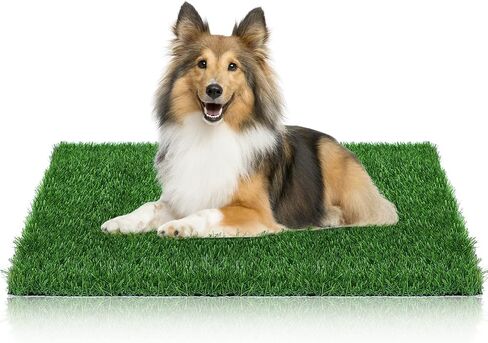 GLOBREEN Pet Friendly Artificial Grass for Dogs to Pee, Whelping, Puppy Potty Training, Fake Turf Grass Mat for Patio, Indoor Outdoor, High Drainage, 59.1" x 31.5" in Kuwait