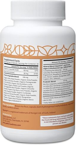 Pattern Wellness Zinc Complex Supplement - Highly Absorbable Formula with Vitamin C, Probiotics & Other Plant-Based Ingredients - All-in-One Immune Support - 30 Vegan Capsules in Kuwait