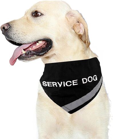 Doggie Stylz Service Dog Bandana with Reflective Strip for pet Safety at Night. Has Built in Matching Collar to Keep Bandana Secure | Metal Ring to Attach Leash | Red Large (Neck 16-24") in Kuwait