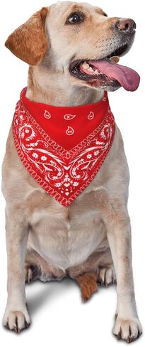 Red Paisley Dog Bandana Scarf Triangle Bibs Pet Accessories Cat Kerchief in Kuwait