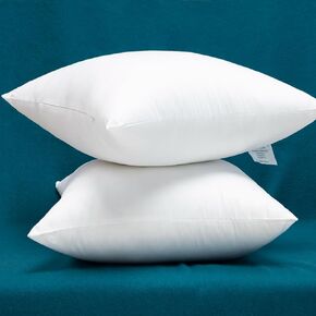 Warmwithann Cotton Fabric Plump Throw Pillow Inserts, Set of 2 Down Alternative Decorative Pillow Inserts in Kuwait