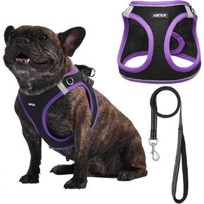 AMTOR Dog Harness with Leash Set,No Pull Adjustable Reflective Step-in Puppy Harness with Padded Vest for Extra-Small/Small Medium Large Dogs and Cats(Blackwhite) in Kuwait