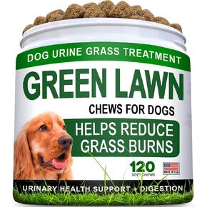 Grass Burn Spot Chews for Dogs - Dog Urine Neutralizer for Lawn - Dog Pee Lawn Spot Saver - Natural Treatment Caused by Dog Urine - Grass Treatment Rocks -DL-Methionine+Enzymes - 120 Chew in Kuwait
