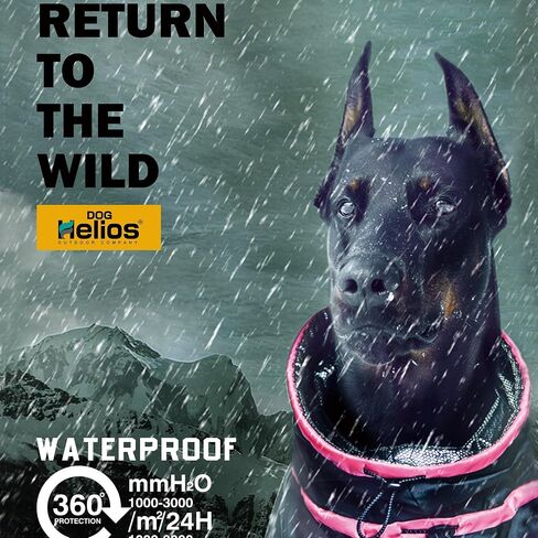 DOGHELIOS 'Weather-King' Windproof Waterproof and Insulated Adjustable Full Bodied Pet Dog Jacket Coat w/ Heat Retention Technology, X-Large, Red in Kuwait