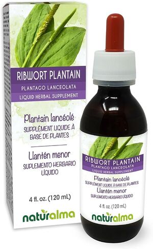 Naturalma Ribwort plantain or Narrowleaft plantain (Plantago lanceolata) leaf Alcohol-free Tincture - 4 fl oz Liquid extract in drops - Herbal supplement - Vegan in Kuwait