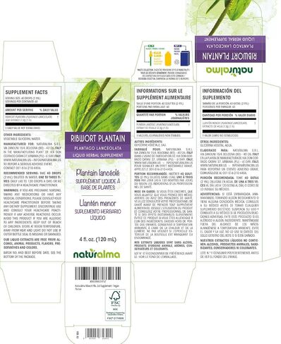 Naturalma Ribwort plantain or Narrowleaft plantain (Plantago lanceolata) leaf Alcohol-free Tincture - 4 fl oz Liquid extract in drops - Herbal supplement - Vegan in Kuwait