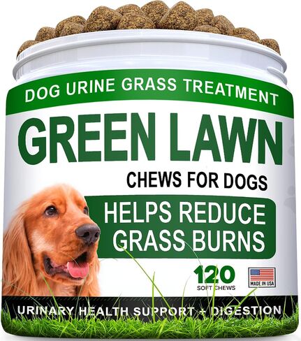 STRELLALAB Grass Burn Spot Chews for Dogs - Dog Urine Neutralizer for Lawn - Dog Pee Lawn Spot Saver - Natural Treatment Caused by Dog Urine - Grass Treatment Rocks -DL-Methionine+Enzymes - 120 Chew in Kuwait