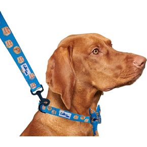 Dog Leash Pizza– Durable Nylon Material - Premium Quality Leash for Dogs - Fancy Leashes - Cute Dog Leash in Two Sizes - (Pizza, Large (1" x 6')) in Kuwait