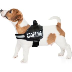Doggie Stylz Adopt ME Nylon Dog Vest Harness with 2 Reflective Removable Patches - Ideal Dog Harness for Small Dogs and Dog Harness for Large Dogs, Versatile Pet Safety Accessory in Kuwait