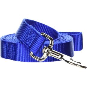 Hamilton Single Thick Nylon Dog Lead, 1-Inch by 6-Feet, Raspberry in Kuwait