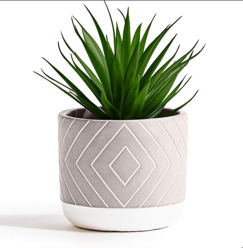 Kurrajong Farmhouse Artificial Plant | 8" Fake Plant for Desk Decor | Artificial Succulent in Pot | Fake Succulent | Faux Plant Indoor | Succulent Plant Artificial | Faux Succulent for Shelf Decor in Kuwait